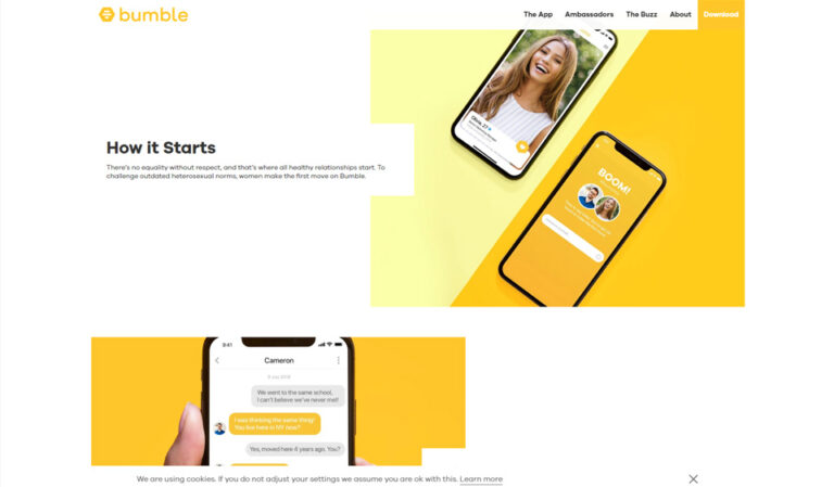 Finding Romance Online – 2023 Bumble Review